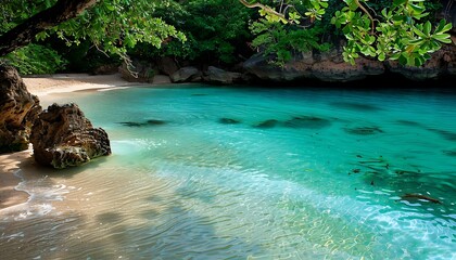 Wall Mural - Beautiful beach with turquoise water and rocks