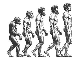 evolution of man from ape through various stages to modern human sketch engraving generative ai fict