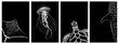 © MicroOne - Marine animals posters print set. Sea turtle jellyfish eagle ray whale shark. Stylish monochrome dark background. Underwater life ocean and sea creatures. Wall art decor. Place for text. Vector