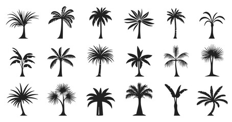 Wall Mural - Palm tree icons set. Palm silhouettes. Nature, relaxation, peace, luxury holidays symbol. Design element for banner posters travel cards. Simple black and white flat style isolated vector clipart