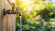 © Mahmud - 'Tap water flowing from an outdoor garden faucet mounted on an outside wall, with a yard or garden background.'