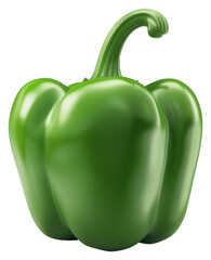 Canvas Print - PNG Fresh green bell pepper illustration