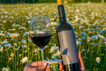 Sticker - Wine in a chamomile field