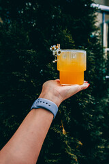 Wall Mural - A close-up of a hand holding a glass of orange juice garnished with small white flowers, with green foliage in the background