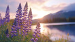 © Mahmud - 'Purple lupine flowers in a mountainous landscape, set against the natural backdrop of New Zealand's stunning scenery.'