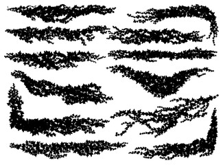 Wall Mural - isolated ivy lianas silhouettes. vector vines of creeper plants with leaves and branches for frame b