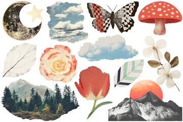 Wall Mural - PNG nature collage element set, transparent background