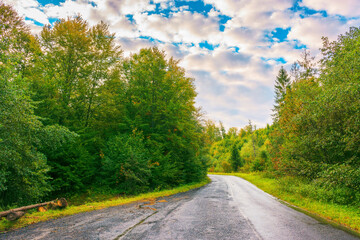 Wall Mural - Empty asphalt mountain road through the deciduous forest with cloudy sky in morning light. wet rainy weather