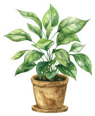 Sticker - PNG Watercolor potted plant illustration