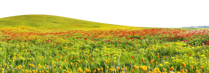 Sticker - PNG Hilly spring fields countryside grassland landscape.