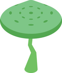 Poster - Green tree with a short trunk is growing in isometric view
