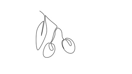 Wall Mural - Animated self drawing of continuous line draw pile healthy organic olive fruit for orchard or groceries logo identity. Freshness core ingredients concept for fruit icon. Full length one line animation