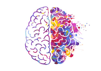 Watercolor brain, left and right hemispheres illustration