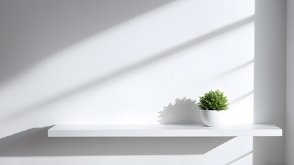 Wall Mural - White shelf with plant in pot on white wall. 