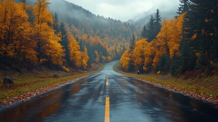 Poster - A road with trees on both sides and a yellow line