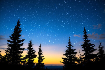 Title: Silhouetted Pine Trees Against a Starry Night Sky


