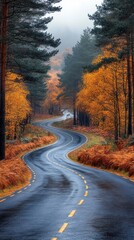 Poster - A road with trees on both sides and a yellow line