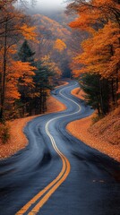 Poster - A winding road with trees on both sides