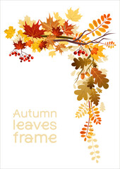 Wall Mural - mixed leaves frame