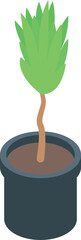 Poster - Green plant with a curved stem growing in a pot, isometric illustration