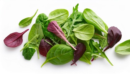 Wall Mural - Salad leaves mix isolated on white background. Salad with rucola, spinach, radicchio and lamb's lettuce top view, flat lay.