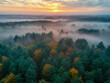 © Tymofii - Early morning sunrise foggy forest, tree tips standing out of fog autumn fall foggy fall sunrise drone shot