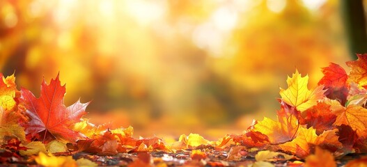 Sticker - In a natural park, autumnal maple leaves fall and lie on the ground.