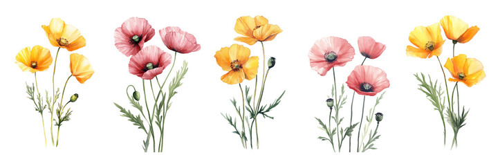 Wall Mural - Watercolor poppies set. 