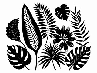 Wall Mural - Silhouette jungle leaf. Abstract black palm tropical rainforest leaves. Decorative plants. Graphic foliage silhouettes and elements for design isolated on white background. Vector set
