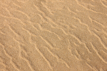 Frozen, rippling beach sand on the beach at Harrington Beach State Park, Belgium, Wisconsin in early January