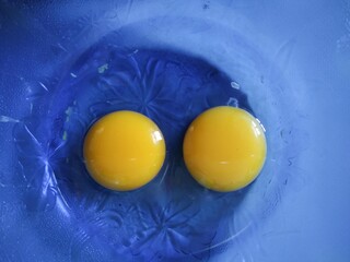 Two egg yolks container plate