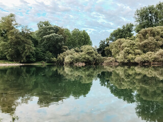 Wall Mural - A calm lake with trees in the background