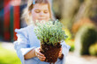 © Irina Schmidt - Close-up of little toddler girl holding garden shovel with green plants seedling in hands. Cute child learn gardening, planting and cultivating vegetables herbs in home garden. Ecology, organic food.