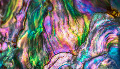 Wall Mural - high magnification macro of nature texture pearl shell. rainbow colors abstract background close-up.