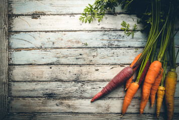 Colorful Rainbow carrot