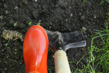 Wall Mural - Farmer digging soil with shovel, above view