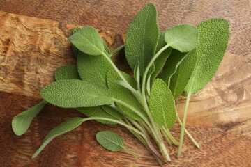 Canvas Print - Green sage leaves on wooden table, top view