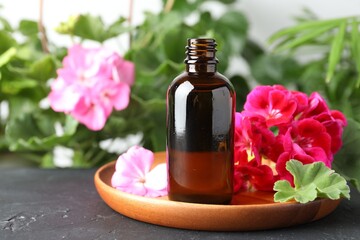 Wall Mural - Bottles of geranium essential oil and beautiful flowers on black table, closeup