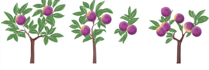 Poster - Four plum trees with green leaves and purple fruits.