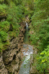 Wall Mural - Mountain river with transparent foamy water and rocky bottom