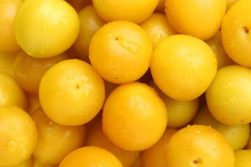 Wall Mural - Many fresh plums with water drops as background, top view