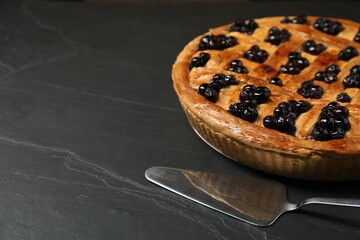 Wall Mural - Tasty homemade pie with blueberries served on grey textured table, closeup. Space for text