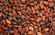 © whitestorm - Cocoa beans grain texture . Ingredient for preparating chocolate