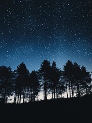 Wall Mural - Night Sky with Trees
