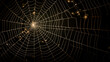 © Diliara - realistic Spider's web black background