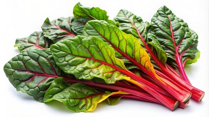 A bunch of vibrant swiss chard leaves isolated on white background, swiss chard, leafy greens, fresh, organic, vegetable