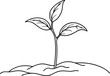 © Designfly - Simple Line Drawing of a Young Plant with Two Leaves