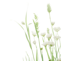 Canvas Print - spring flowers in the grass, background removed image