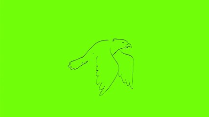 Canvas Print - 2d Animation motion graphics showing a drawing of bird flying to right on white screen, green screen and black screen in 4k ultra-high-definition.