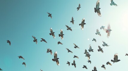 Sticker - Birds in Flight against a Clear Blue Sky